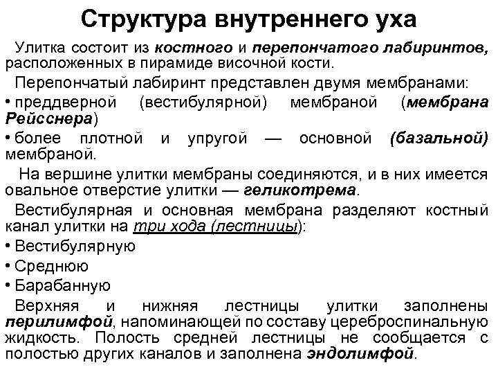 Структура внутреннего уха Улитка состоит из костного и перепончатого лабиринтов, расположенных в пирамиде височной