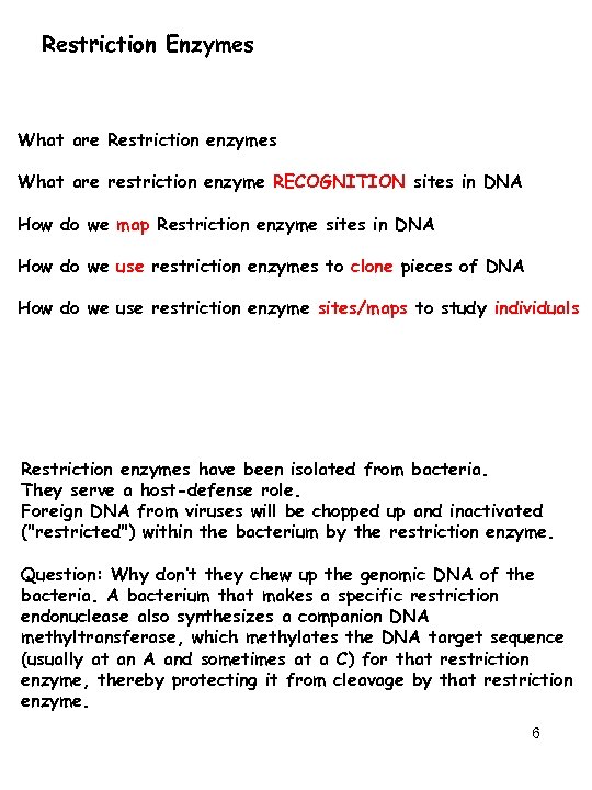 Restriction Enzymes What are Restriction enzymes What are restriction enzyme RECOGNITION sites in DNA