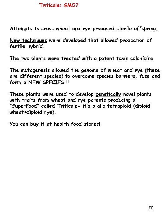 Triticale: GMO? Attempts to cross wheat and rye produced sterile offspring. New techniques were