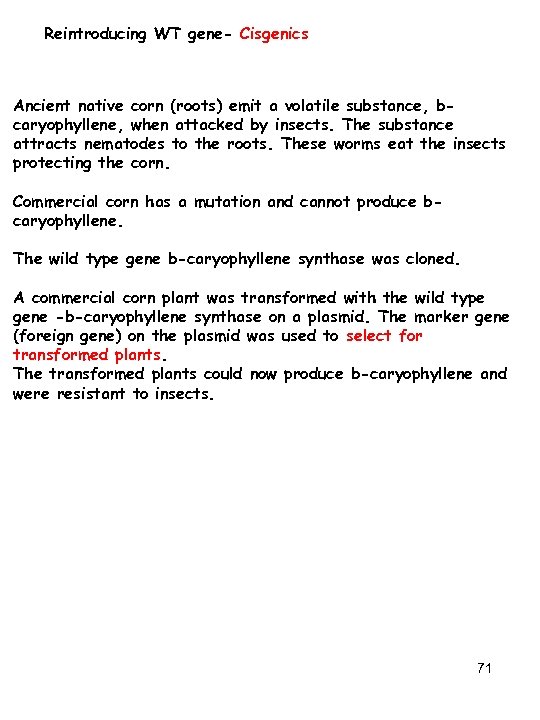 Reintroducing WT gene- Cisgenics Ancient native corn (roots) emit a volatile substance, bcaryophyllene, when