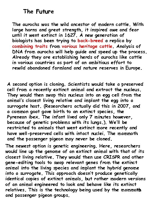 The Future The aurochs was the wild ancestor of modern cattle. With large horns