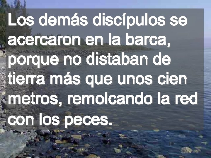 Los demás discípulos se acercaron en la barca, porque no distaban de tierra más