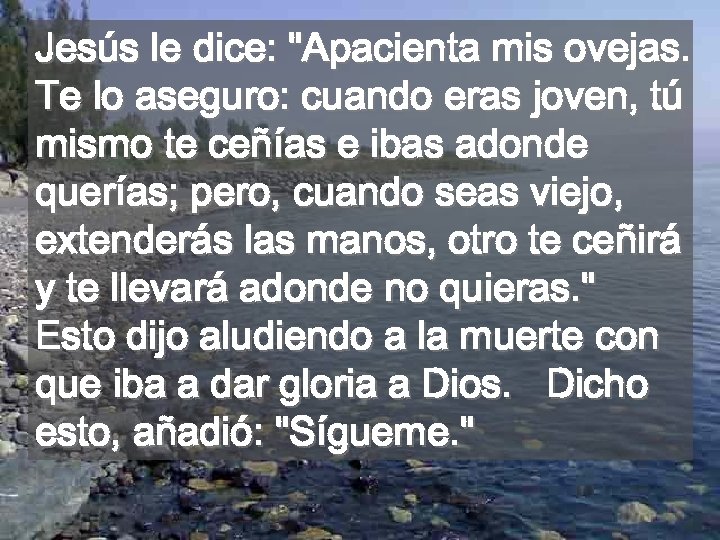 Jesús le dice: "Apacienta mis ovejas. Te lo aseguro: cuando eras joven, tú mismo