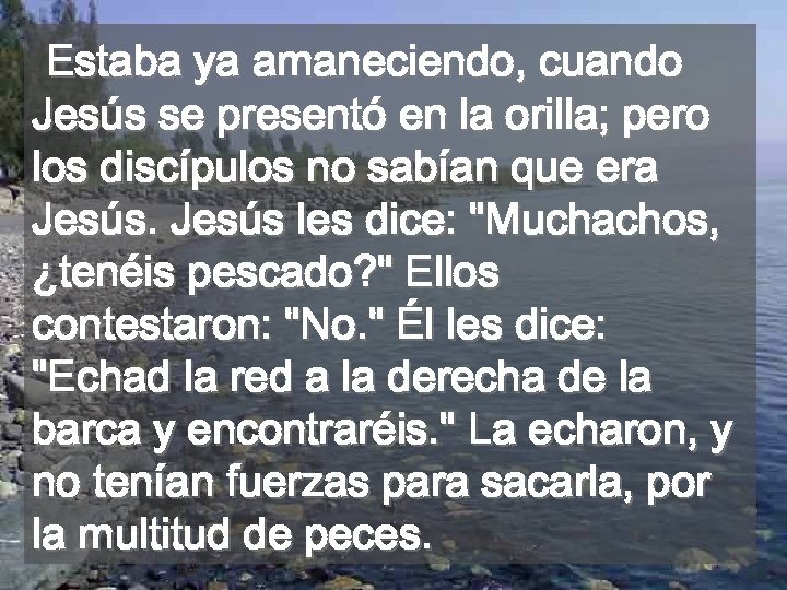 Estaba ya amaneciendo, cuando Jesús se presentó en la orilla; pero los discípulos no