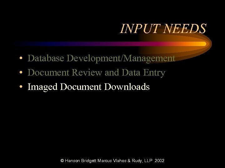 INPUT NEEDS • Database Development/Management • Document Review and Data Entry • Imaged Document