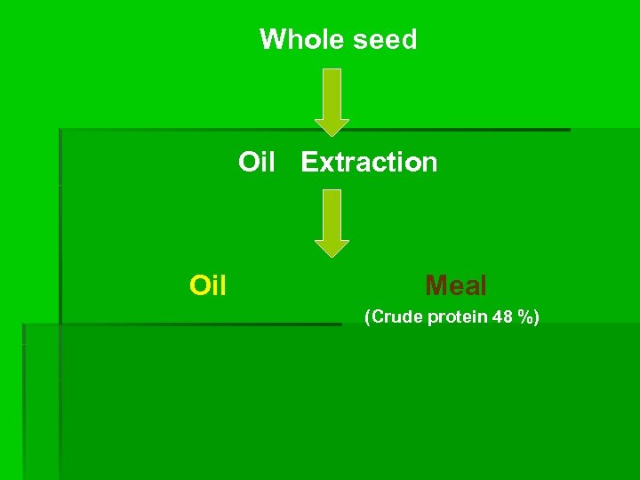 Whole seed Oil Extraction Oil Meal (Crude protein 48 %) 