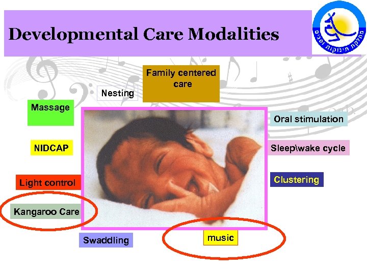 Developmental Care Modalities Nesting Family centered care Massage Oral stimulation NIDCAP Sleepwake cycle Clustering