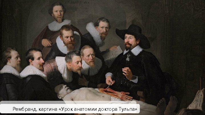 Рембранд, картина «Урок анатомии доктора Тульпа» 