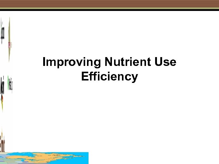 Improving Nutrient Use Efficiency 