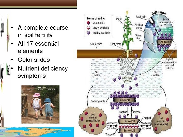  • A complete course in soil fertility • All 17 essential elements •