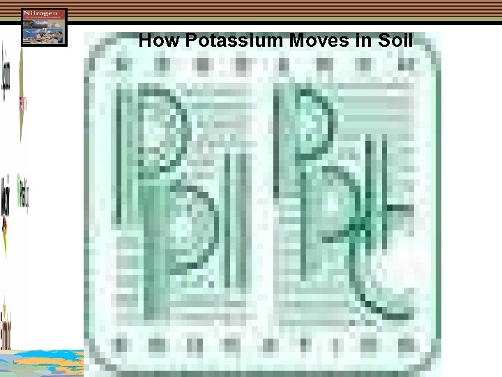 How Potassium Moves in Soil 