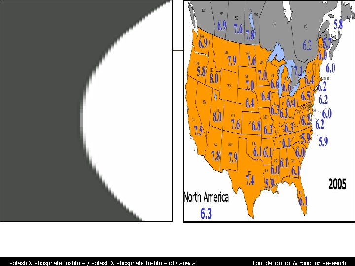 Soil Test Levels in North America, 2005 Potash & Phosphate Institute / Potash &