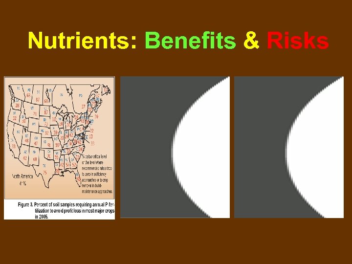 Nutrients: Benefits & Risks 