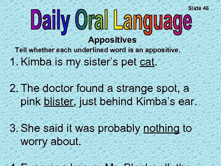 Slide 46 Appositives Tell whether each underlined word is an appositive. 1. Kimba is