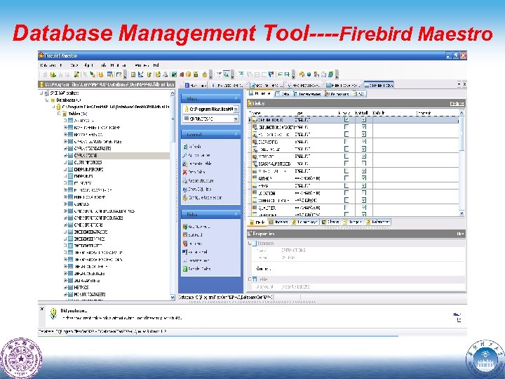 Database Management Tool----Firebird Maestro 