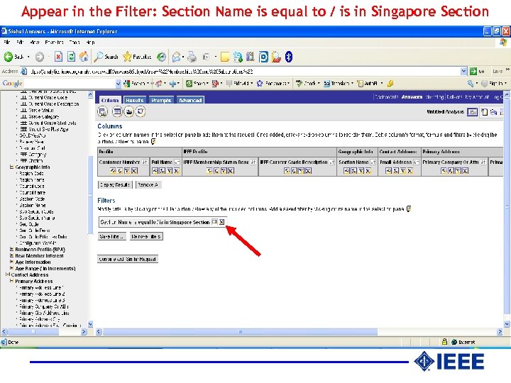 Appear in the Filter: Section Name is equal to / is in Singapore Section