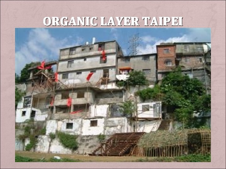 ORGANIC LAYER TAIPEI 