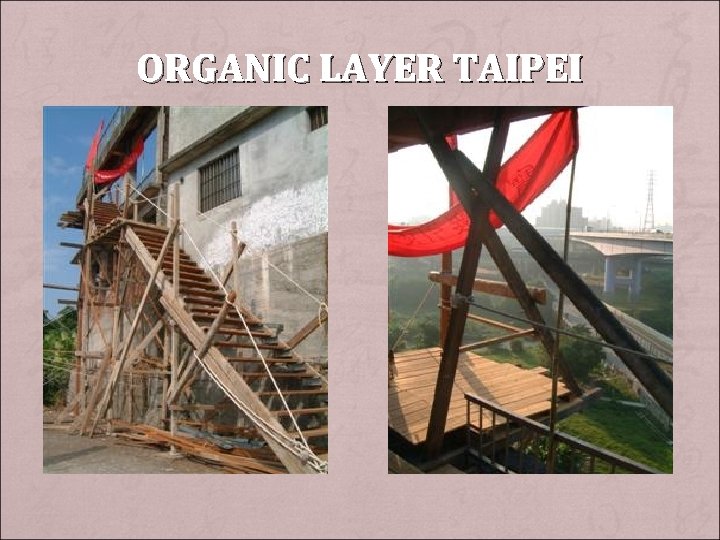 ORGANIC LAYER TAIPEI 