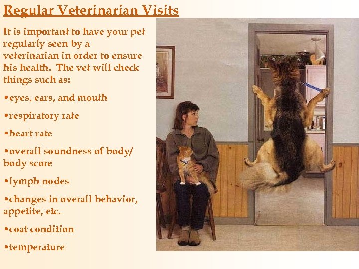 Regular Veterinarian Visits It is important to have your pet regularly seen by a