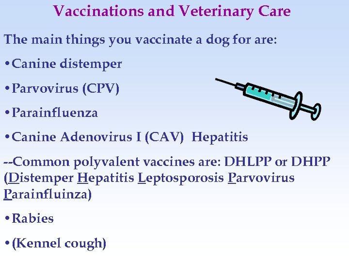 Vaccinations and Veterinary Care The main things you vaccinate a dog for are: •