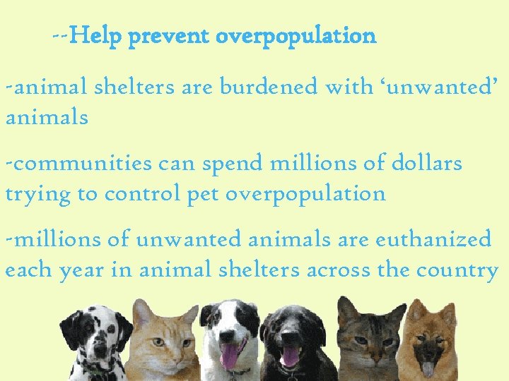 --Help prevent overpopulation -animal shelters are burdened with ‘unwanted’ animals -communities can spend millions