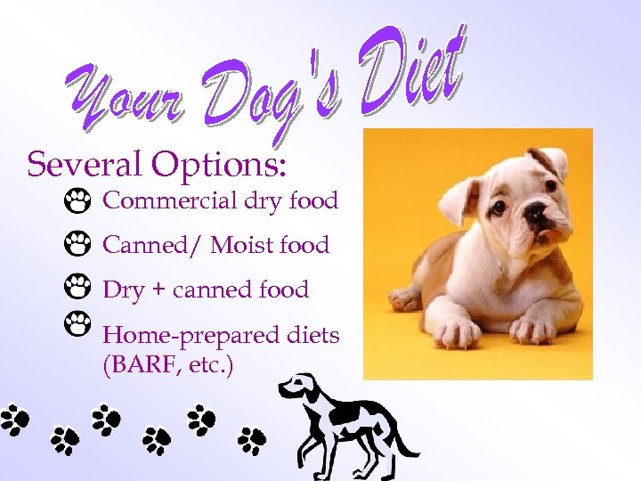 Several Options: Commercial dry food Canned/ Moist food Dry + canned food Home-prepared diets