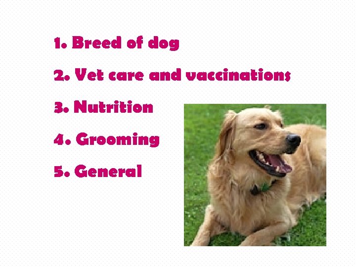 1. Breed of dog 2. Vet care and vaccinations 3. Nutrition 4. Grooming 5.