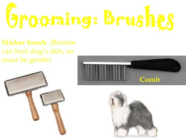 Slicker brush (Bristles can hurt dog’s skin, so must be gentle) Comb 