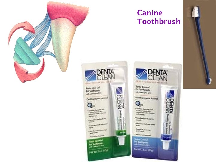 Canine Toothbrush 