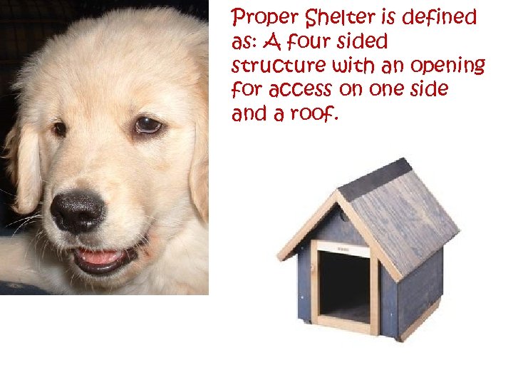 Proper Shelter is defined as: A four sided structure with an opening for access