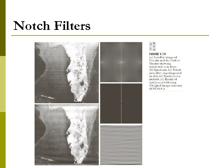 Notch Filters 