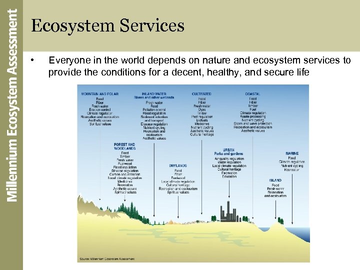 Ecosystem Services • Everyone in the world depends on nature and ecosystem services to