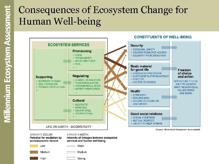 Consequences of Ecosystem Change for Human Well-being 