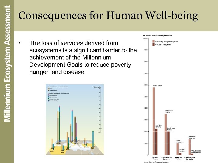 Consequences for Human Well-being • The loss of services derived from ecosystems is a