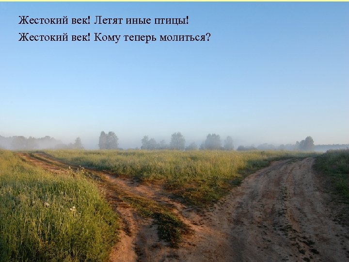 Жестокий век! Летят Вишневый сад… иные птицы! я мечтал спасти свою А Жестокий век!