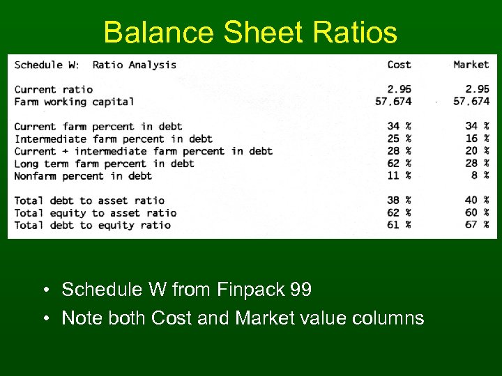 Balance Sheet Ratios • Schedule W from Finpack 99 • Note both Cost and