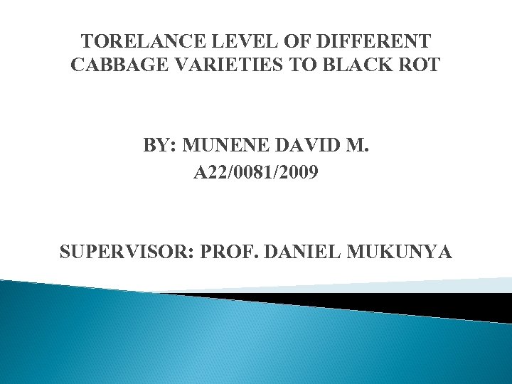 TORELANCE LEVEL OF DIFFERENT CABBAGE VARIETIES TO BLACK ROT BY: MUNENE DAVID M. A