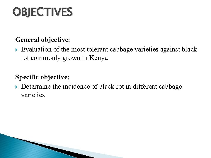 OBJECTIVES General objective; Evaluation of the most tolerant cabbage varieties against black rot commonly