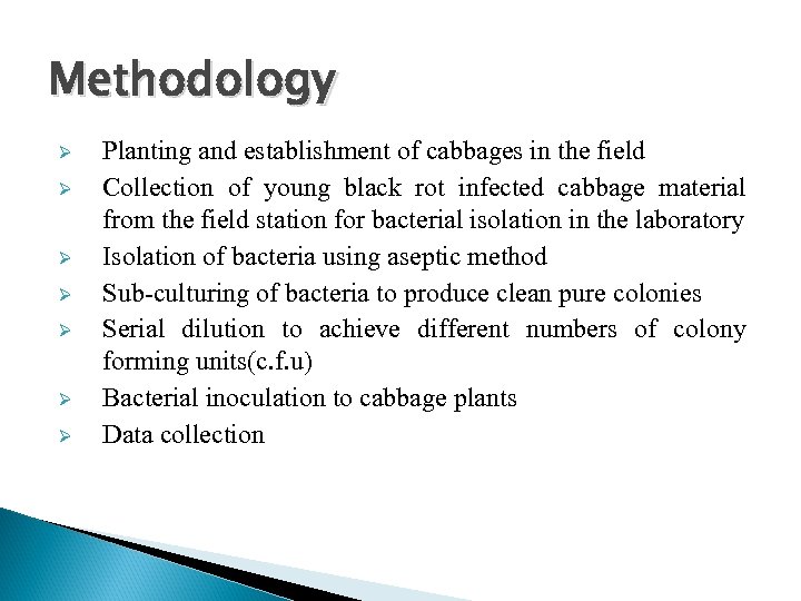 Methodology Ø Ø Ø Ø Planting and establishment of cabbages in the field Collection