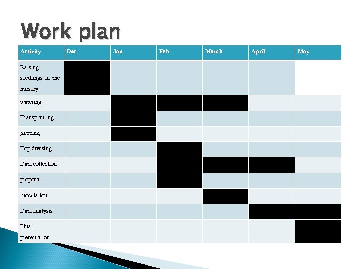 Work plan Activity Raising seedlings in the nursery watering Transplanting gapping Top dressing Data