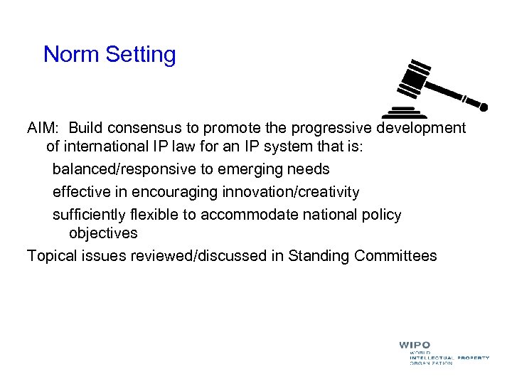 Norm Setting AIM: Build consensus to promote the progressive development of international IP law