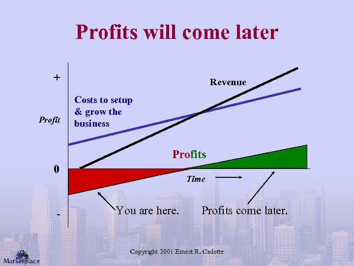 Profits will come later + Profit Revenue Costs to setup & grow the business