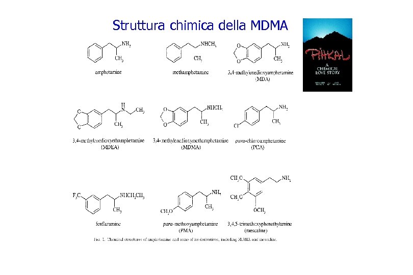 Struttura chimica della MDMA 