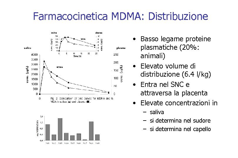  Farmacocinetica MDMA: Distribuzione • Basso legame proteine plasmatiche (20%: animali) • Elevato volume