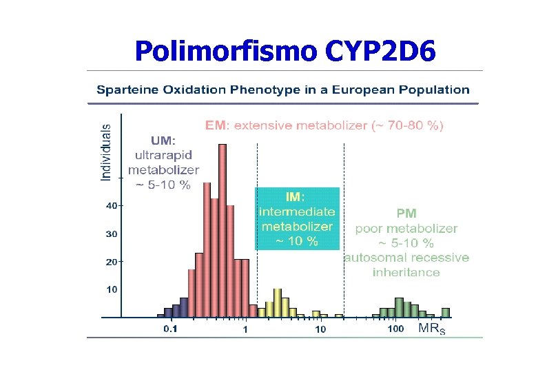 Polimorfismo CYP 2 D 6 