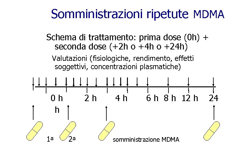 Somministrazioni ripetute MDMA Schema di trattamento: prima dose (0 h) + seconda dose (+2