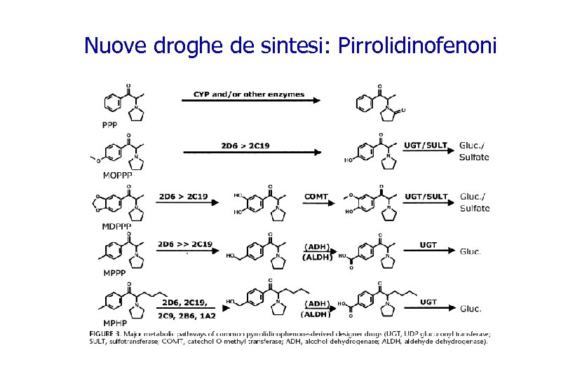 Nuove droghe de sintesi: Pirrolidinofenoni 