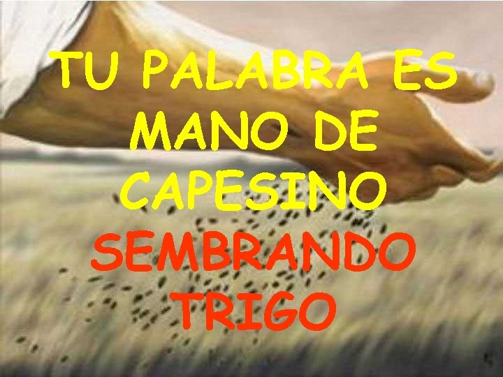 TU PALABRA ES MANO DE CAPESINO SEMBRANDO TRIGO 