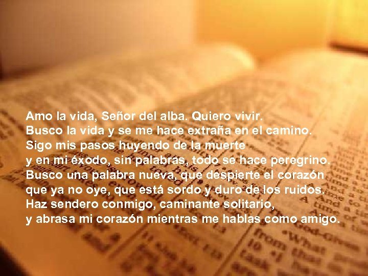 Amo la vida, Señor del alba. Quiero vivir. Busco la vida y se me