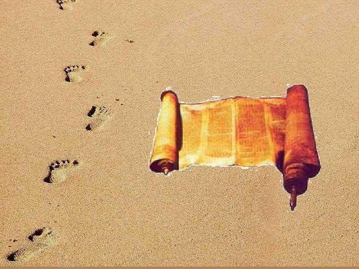 TU PALABRA, SEÑOR JESÚS, ES PROCESO DE ANDADURAS 